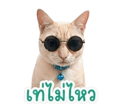 851926988