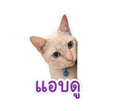 851926992