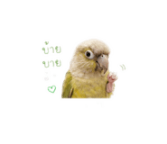 851929220