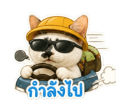851930782