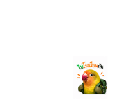 851936377