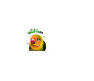 851936380