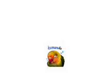 851936384