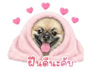 851937248