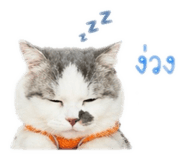 851942309