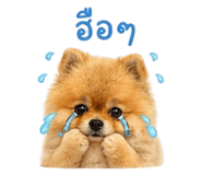851944476