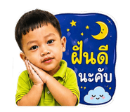 851944554