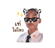 851945146