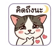 851945346