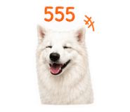 851951996
