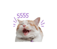 851952254