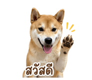 851953564