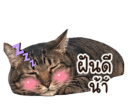 851974257