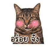 851974263