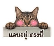 851974268