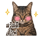 851974272