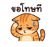 852016644