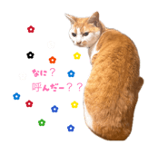 852027913