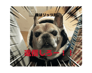 852045204