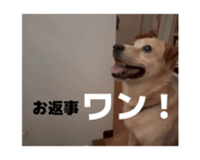 852045206