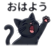 852059770