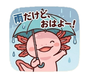 852063177