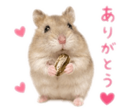 852063683