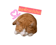852065574