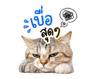 852068348