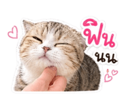 852068351