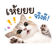 852068360