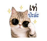 852068362