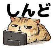 852088184