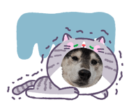 852088227