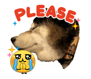 852088230