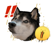 852088231