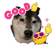 852088232