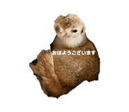 852088945