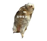 852088946
