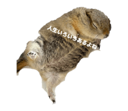 852088950