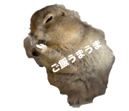 852088951