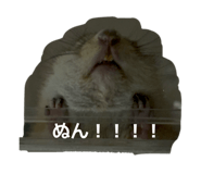 852088952