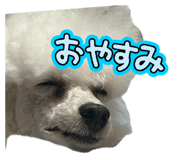 852089304