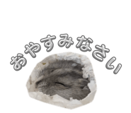 852089734