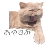 852089946