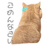 852089956