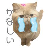 852089958