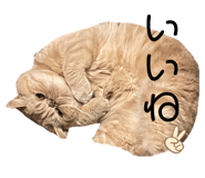 852089963