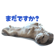 852090433
