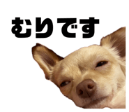 852090445